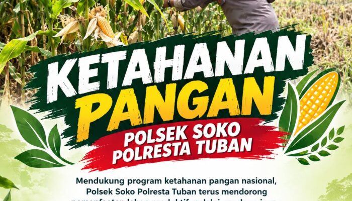 Polsek Soko Polresta Tuban Turun Langsung Cek Tanaman Jagung Warga
