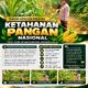Polsek Plumpang Polresta Tuban Turun Langsung Cek Tanaman Jagung Warga