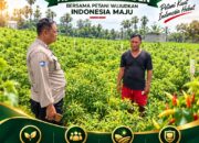 Polsek Plumpang Polresta Tuban Turun Langsung Cek Tanaman Jagung Warga