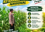 Kawal Swasembada Pangan, Polsek Jatirogo Pantau Langsung Tanaman Jagung di Paseyan