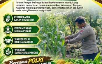 Dukung Ketahanan Pangan Nasional, Bripda Dodi Eko Lakukan Pendampingan Panen Jagung Warga di Desa Sukoharjo