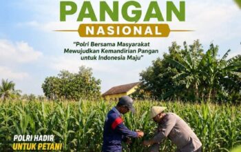Polsek Soko Polresta Tuban Turun Langsung Cek Tanaman Jagung Warga