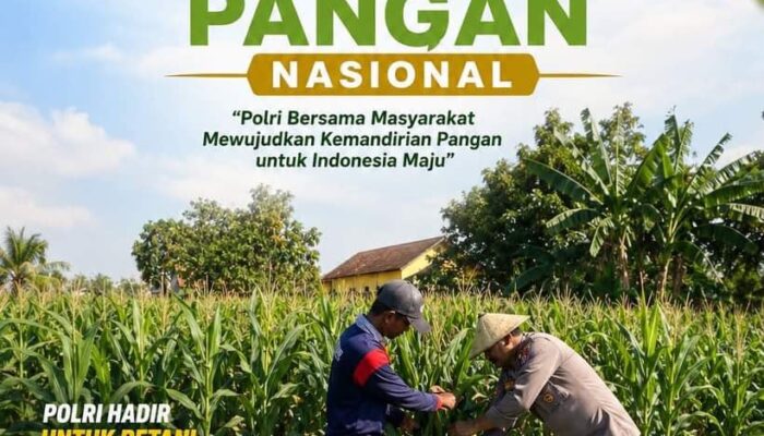Polsek Soko Polresta Tuban Turun Langsung Cek Tanaman Jagung Warga
