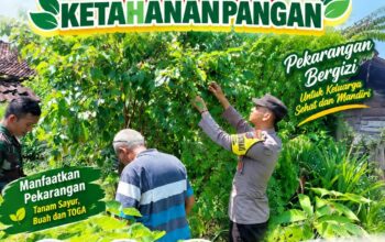 Bhabinkamtimas Polsek Senori Polresta Tuban Polda Jatim Sambang Pekarangan Pangan Bergizi Warga Desa Medalem Guna Mendukung Ketahanan Pangan