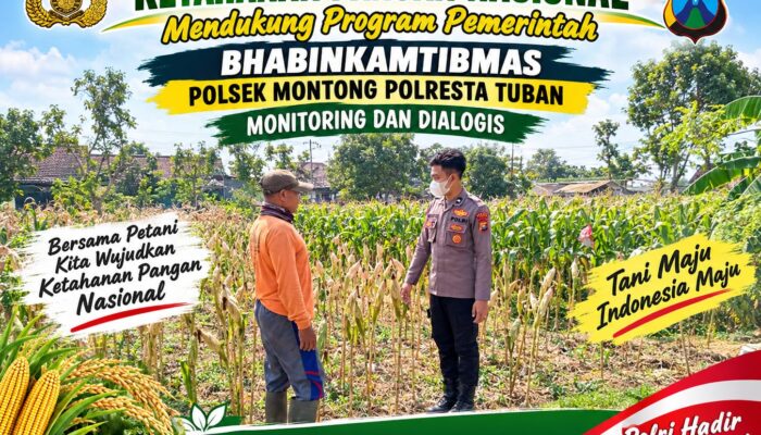 Mendukung Asta Cita Presiden bhabinkamtibmas Polsek Montong Polresta Tuban Pantau Kodisi Tanaman Jagung Milik Warga Desa pakel