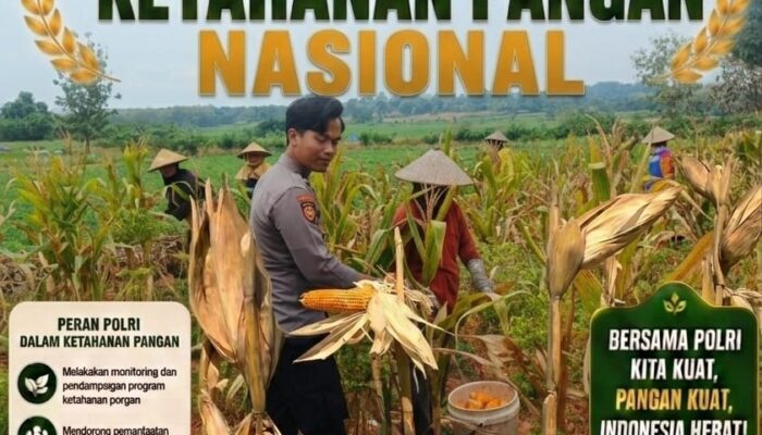 Dukung Astacita Presiden, Polsek Kenduruan Polresta Tuban Turun Langsung Bantu Petani Panen Jagung di Desa Jamprong