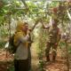 Babinsa dan PPL Peteluan Indah Dampingi Petani Anggur Jelang Panen
