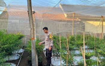 Bhabinkamtibmas Desa Kumbang Sambangi Warga dan Monitoring Ketahanan Pangan, Dukung Swasembada Pangan Nasional