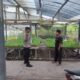 Bhabinkamtibmas Paokmotong Cek Pekarangan Pangan Bergizi, Dukung Ketahanan Pangan dan Kesejahteraan Warga